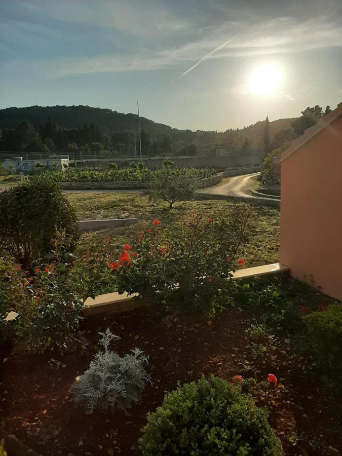 Apartment "Manna Zrnovo Dış mekan fotoğraf